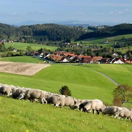 Birkensicht *